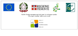 Progetti cofinanziati